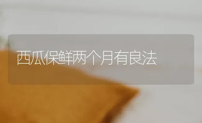 西瓜保鲜两个月有良法 | 瓜果种植