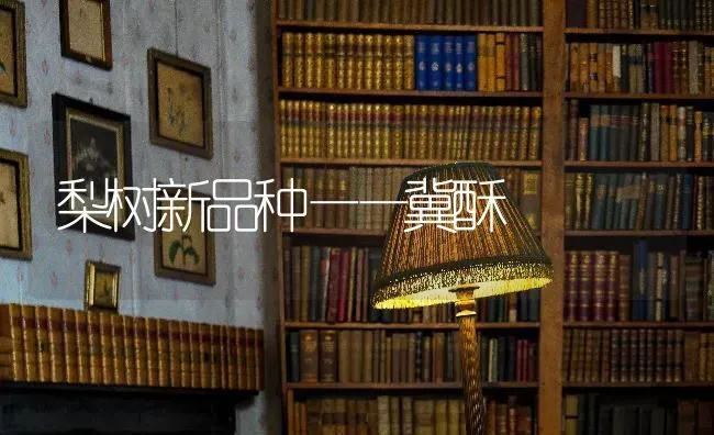 梨树新品种——冀酥 | 瓜果种植