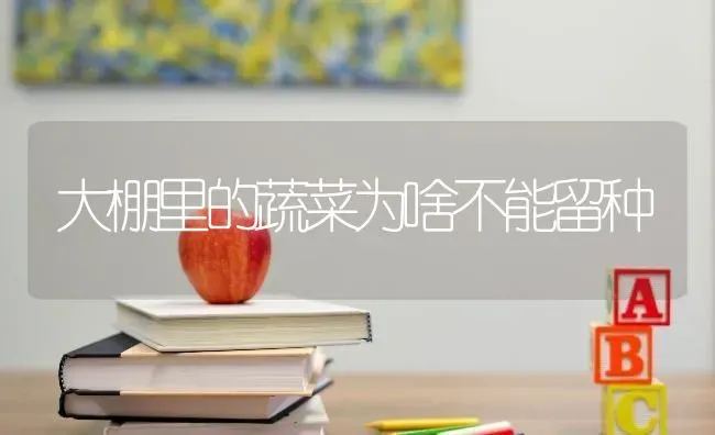大棚里的蔬菜为啥不能留种 | 蔬菜种植