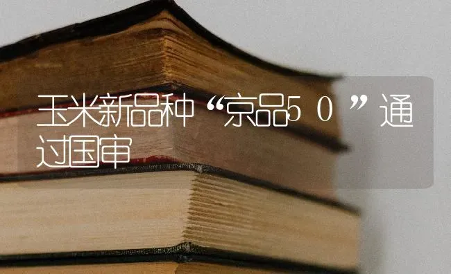 玉米新品种“京品50”通过国审 | 粮油作物种植
