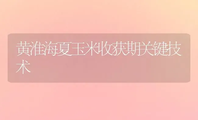黄淮海夏玉米收获期关键技术 | 粮油作物种植