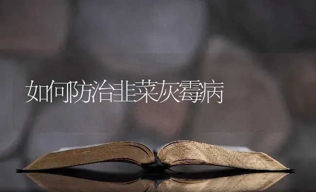 如何防治韭菜灰霉病 | 蔬菜种植