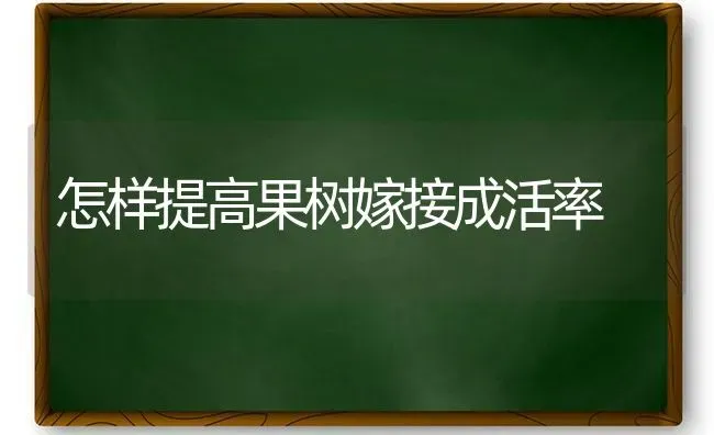 怎样提高果树嫁接成活率 | 瓜果种植