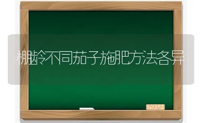 棚龄不同茄子施肥方法各异 | 种植肥料施肥