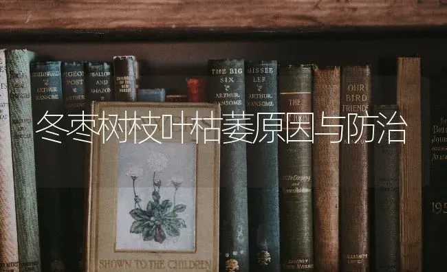 冬枣树枝叶枯萎原因与防治 | 瓜果种植