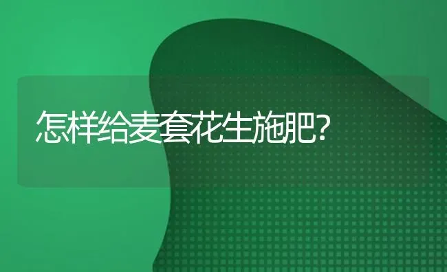 怎样给麦套花生施肥？ | 种植肥料施肥
