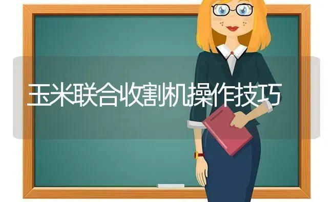玉米联合收割机操作技巧 | 粮油作物种植