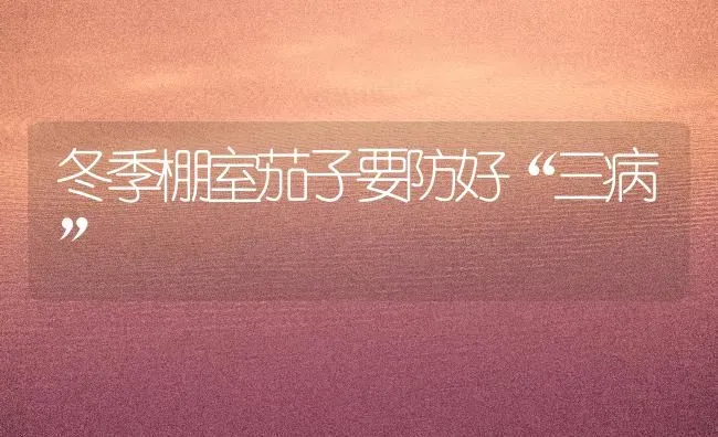 冬季棚室茄子要防好“三病” | 蔬菜种植
