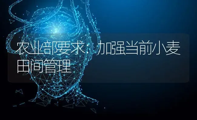 农业部要求：加强当前小麦田间管理 | 粮油作物种植