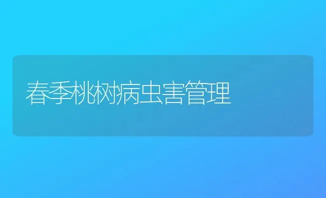 春季桃树病虫害管理 | 种植病虫害防治