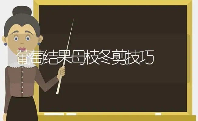 葡萄结果母枝冬剪技巧 | 瓜果种植