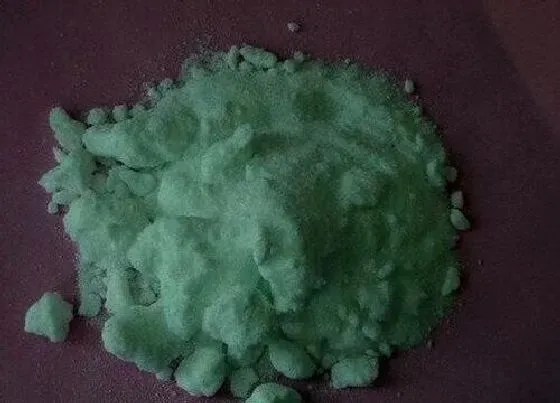 种植管理|种蚕豆用什么肥料最好 蚕豆底肥需要施什么肥料