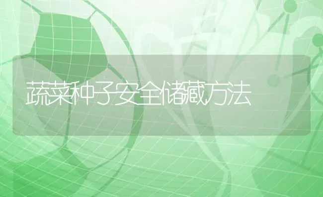 蔬菜种子安全储藏方法 | 蔬菜种植