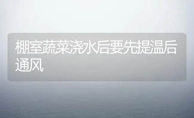 棚室蔬菜浇水后要先提温后通风 | 蔬菜种植