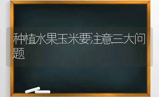 种植水果玉米要注意三大问题 | 瓜果种植