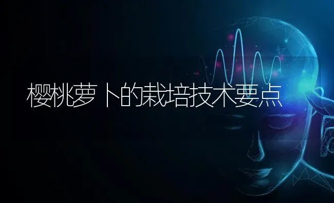 樱桃萝卜的栽培技术要点 | 瓜果种植