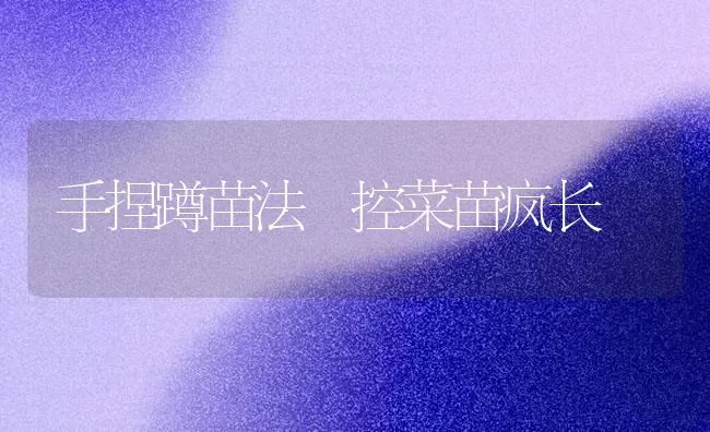 手捏蹲苗法 控菜苗疯长 | 蔬菜种植