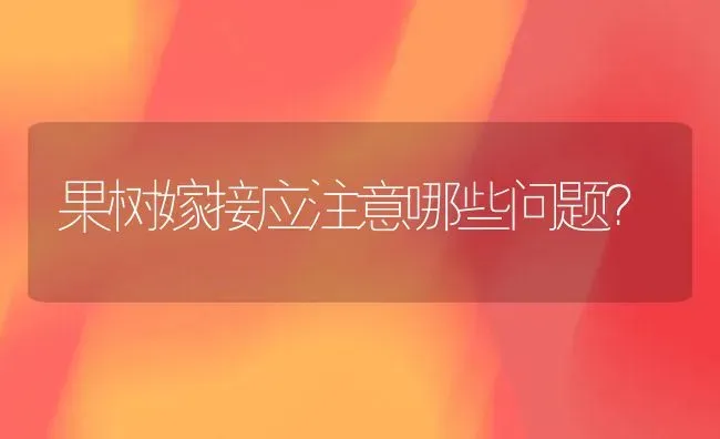 果树嫁接应注意哪些问题？ | 瓜果种植