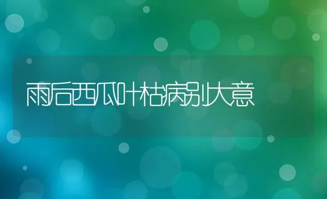 雨后西瓜叶枯病别大意 | 瓜果种植