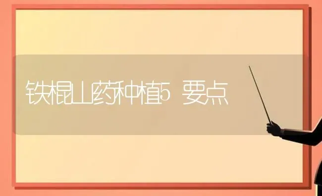 铁棍山药种植5要点 | 植物种植百科