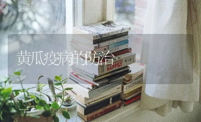 黄瓜疫病的防治 | 蔬菜种植