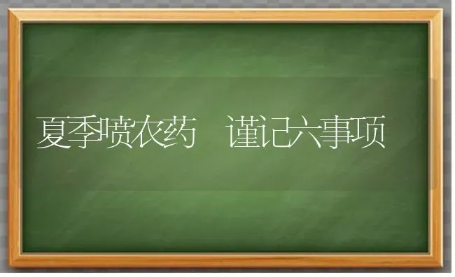 夏季喷农药 谨记六事项 | 种植病虫害防治