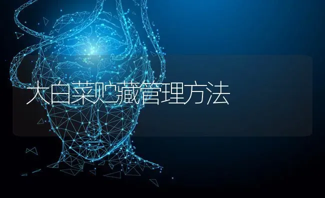 大白菜贮藏管理方法 | 蔬菜种植
