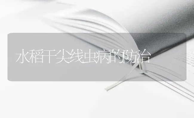 水稻干尖线虫病的防治 | 粮油作物种植