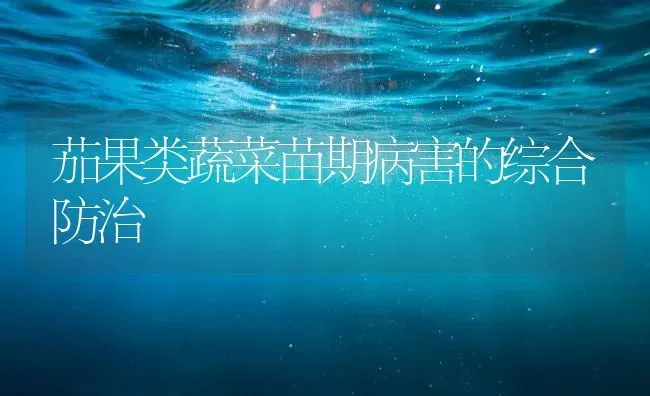 茄果类蔬菜苗期病害的综合防治 | 蔬菜种植