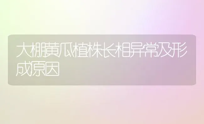 大棚黄瓜植株长相异常及形成原因 | 蔬菜种植