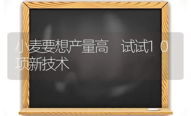 小麦要想产量高 试试10项新技术 | 粮油作物种植