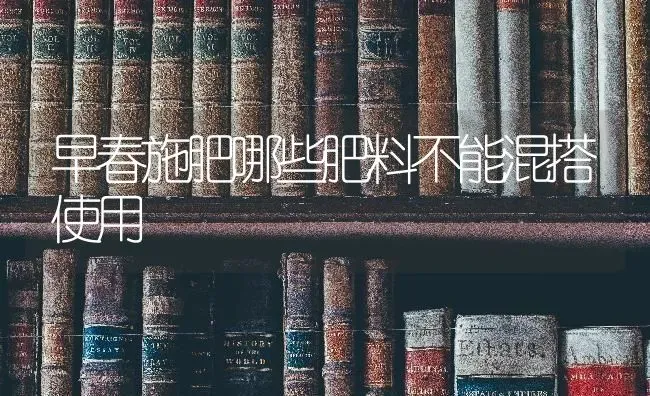 早春施肥哪些肥料不能混搭使用 | 种植肥料施肥