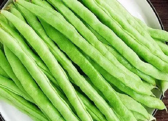 食用科普|豆角是热性还是凉性的
