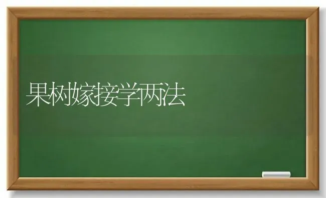 果树嫁接学两法 | 瓜果种植