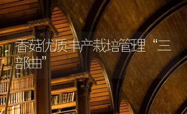香菇优质丰产栽培管理“三部曲” | 食用菌种植