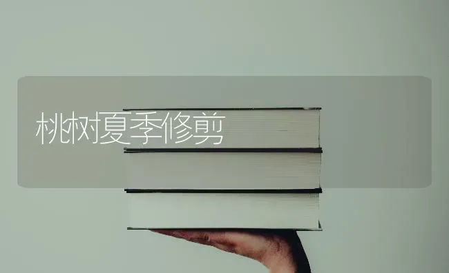 桃树夏季修剪 | 瓜果种植
