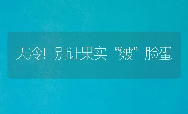 天冷！别让果实“皴”脸蛋 | 瓜果种植