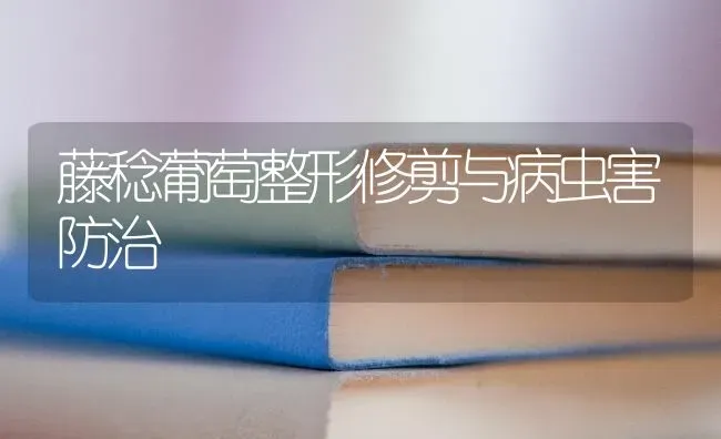 藤稔葡萄整形修剪与病虫害防治 | 种植病虫害防治