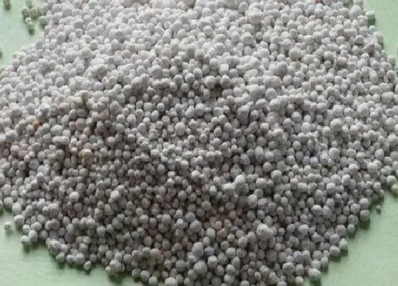 植物施肥|地瓜施什么肥最好