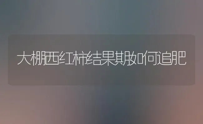 大棚西红柿结果期如何追肥 | 瓜果种植