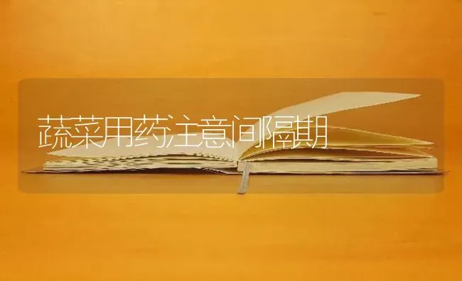 蔬菜用药注意间隔期 | 蔬菜种植