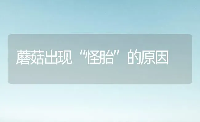 蘑菇出现“怪胎”的原因 | 食用菌种植