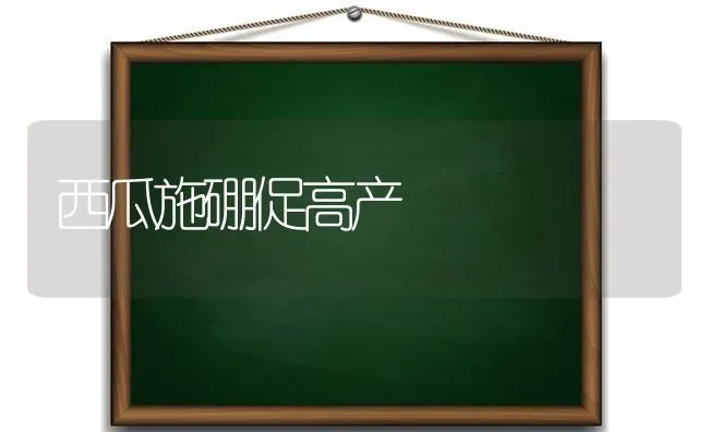 西瓜施硼促高产 | 瓜果种植