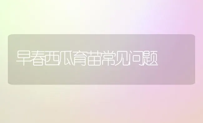 早春西瓜育苗常见问题 | 瓜果种植