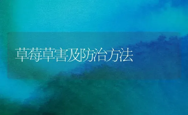 草莓草害及防治方法 | 瓜果种植