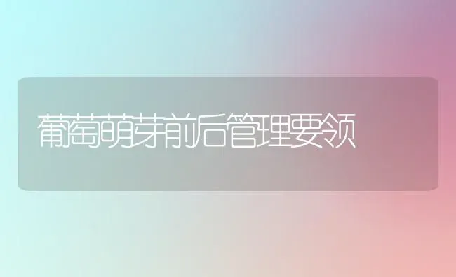 葡萄萌芽前后管理要领 | 瓜果种植