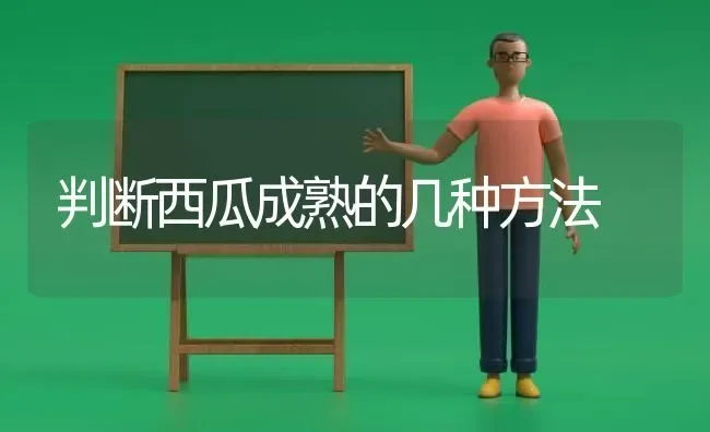 判断西瓜成熟的几种方法 | 瓜果种植