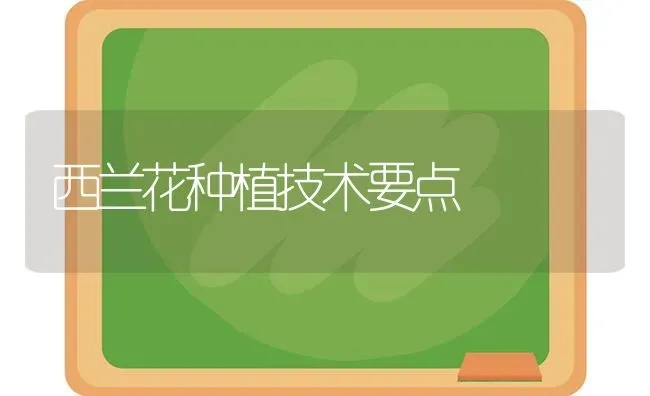 西兰花种植技术要点 | 植物种植百科