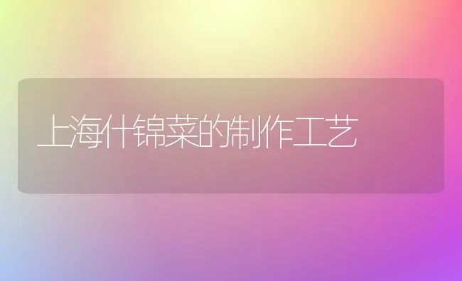 上海什锦菜的制作工艺 | 蔬菜种植