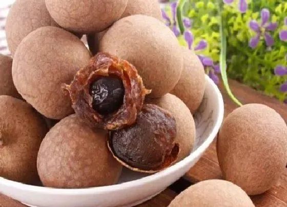 果实科普|桂圆为什么叫龙眼故事（龙眼和桂圆的来历和传说）